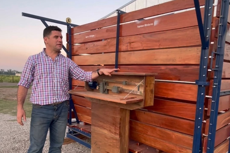 Balanza para Vacas