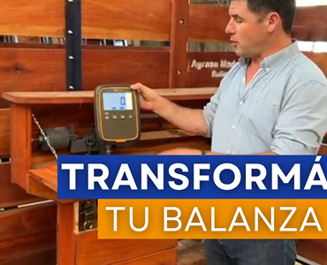 Balanza para Ganado