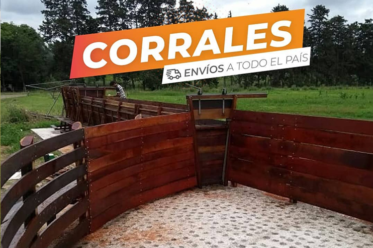 Corral para vacas